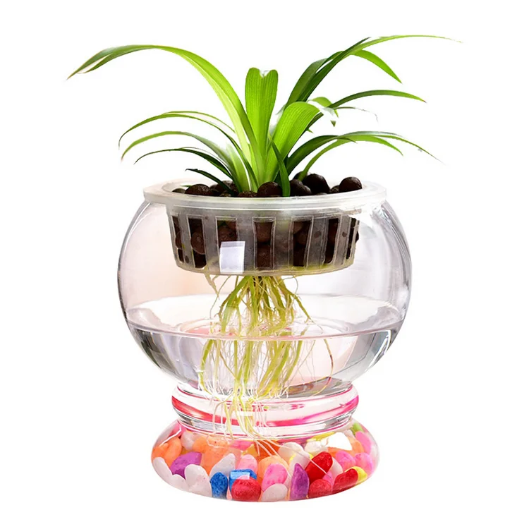 

AAA343 water planting Home Desk Green Lantern Flower Pot Ball Jar Plant Pots Round Hydroponic Clear Vase Decor Glass Flowerpots