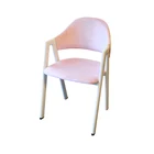 Modern Velvet Fabric Restaurant Dining Chair
