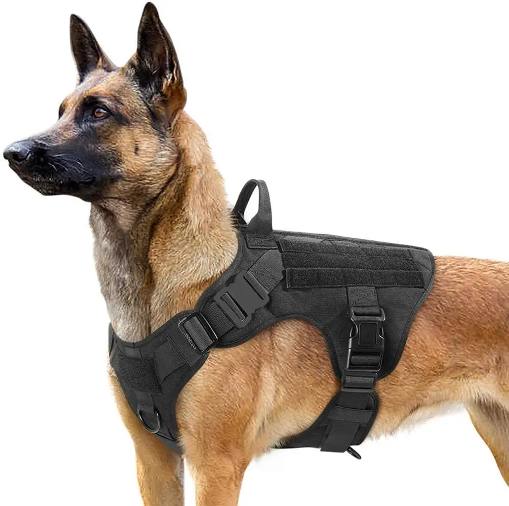 Adjustable Dog Harness Tactical Dog Saddle Bag Backpack Camping Hiking Pet Dog Tactic Harness And Leash Collar Set
Adjustable Dog Harness Tactical Dog Saddle Bag Backpack Camping Hiking Pet Dog Tactic Harness And Leash Collar Set
