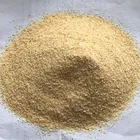 Dehydrated Garlic Granules Factory