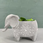 Design Ceramic Pot Ceramic Pot Planter 2020 New Design Wild Green Land Ceramic Porcelain Cement Animals Pot Planter