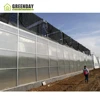 GREENDAY China steel structures greenhouse contractor/China steel frame greenhouse supplier agriculture greenhouse construction