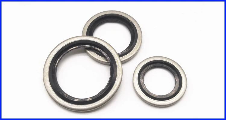 Stainless Steel 316SS NBR/FKM  Bonded Seal bsp 1/4" For Machine Washer