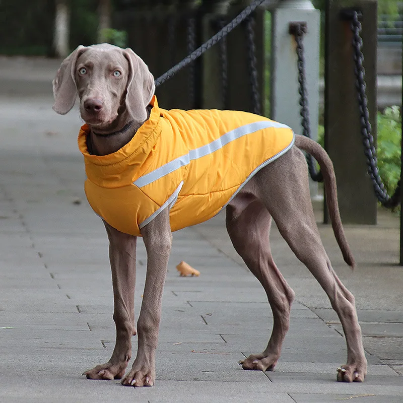 Autumn and Winter New Dog Clothes Reflective Warm Big Dog Outdoor Shell Jacket Pet Supplies Dog Clothes Wholesale, Blue/yellow/red/rose red
Autumn and Winter New Dog Clothes Reflective Warm Big Dog Outdoor Shell Jacket Pet Supplies Dog Clothes Wholesale, Blue/yellow/red/rose red