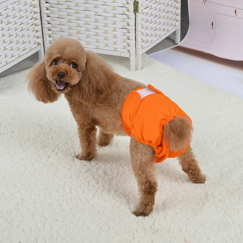 Pet Parents Washable Female Dog Diapers Premium Male & Female Dog Diapers, Multicolor
Pet Parents Washable Female Dog Diapers Premium Male & Female Dog Diapers, Multicolor