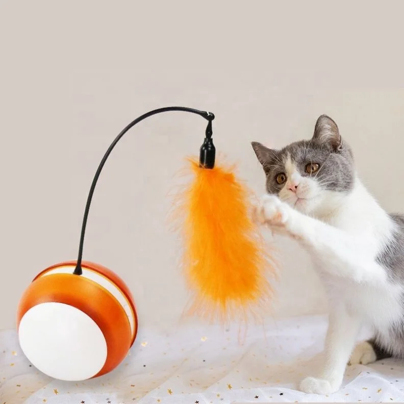 Pet Sports Sound Ball Funny Pet Cat Toys Interactive Pet Toys Cat Swing Toy, Purple orange green
Pet Sports Sound Ball Funny Pet Cat Toys Interactive Pet Toys Cat Swing Toy, Purple orange green
