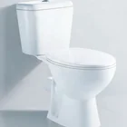Cheap unique Two Piece Ceramic P trap toilet for disabled Made in China