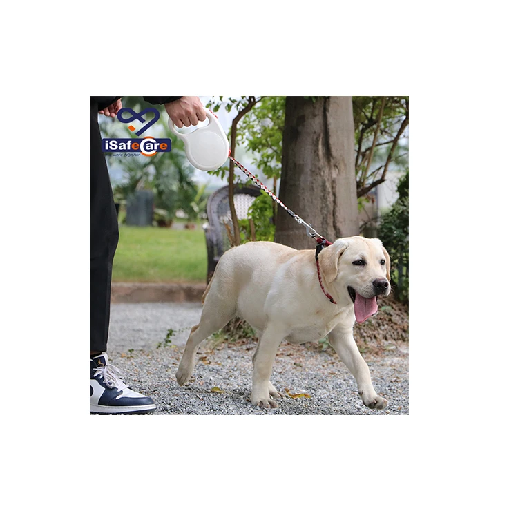 high quality pet products factory direct Heavy Duty 5 meters adjustable Pet Retractable Dog Leash Polyester, Customized
high quality pet products factory direct Heavy Duty 5 meters adjustable Pet Retractable Dog Leash Polyester, Customized