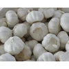 /product-detail/wholesale-china-market-price-organic-white-garlic-62237820275.html