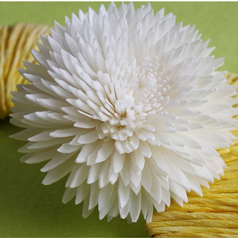 2020 Most Popular Organic Material Dried Sola Wood Flower For Reed Diffuser