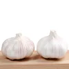 /product-detail/hot-sale-import-china-fresh-organic-garlic-62235213619.html