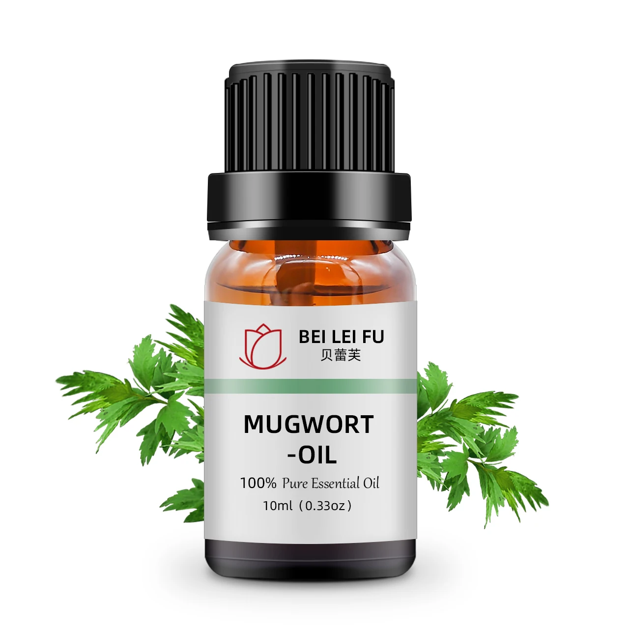 Wholesale Pure Natural Artemisia Argyi/Blumea/Chinese Mugwort Essential Oil Factory Supply for Ebay Amazon Seller
Wholesale Pure Natural Artemisia Argyi/Blumea/Chinese Mugwort Essential Oil Factory Supply for Ebay Amazon Seller