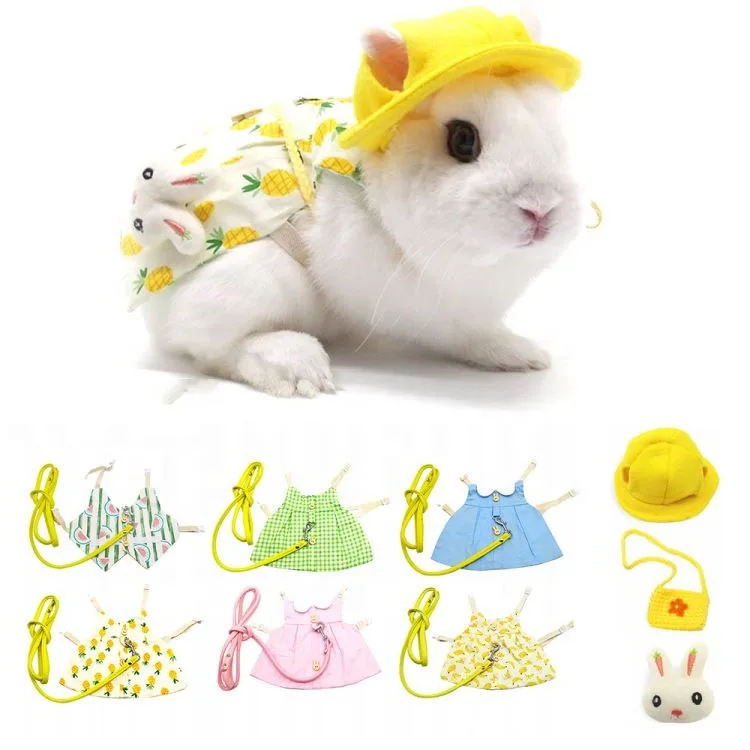 Amazon Pet Rabbit Clothes Teddy Cat Drop Ear Decorations Clothing Travel Photos Small Pet Clothes Set
Amazon Pet Rabbit Clothes Teddy Cat Drop Ear Decorations Clothing Travel Photos Small Pet Clothes Set