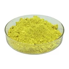 Quercetin Powder 95%/ Dihydroquercetin Quercetin / HPLC Standard Powdered Sophora Japonica Extract Quercetin