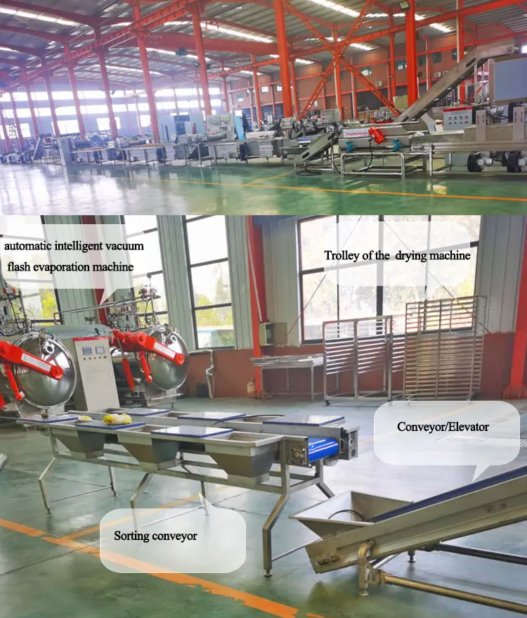 Small Scale Plantain Coconut Chips Making Production Machine Banana Chips Frying Machine Automatic factory