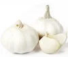 /product-detail/peeled-fresh-garlic-cloves-garlic-importers-in-usa-62402510660.html