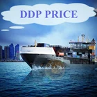 express shipping air freight cargo include customs clearance service to france amazon warehouse with DDP price