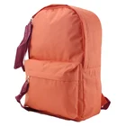 High Quality Custom Wholesale Outdoor Hiking Backpack