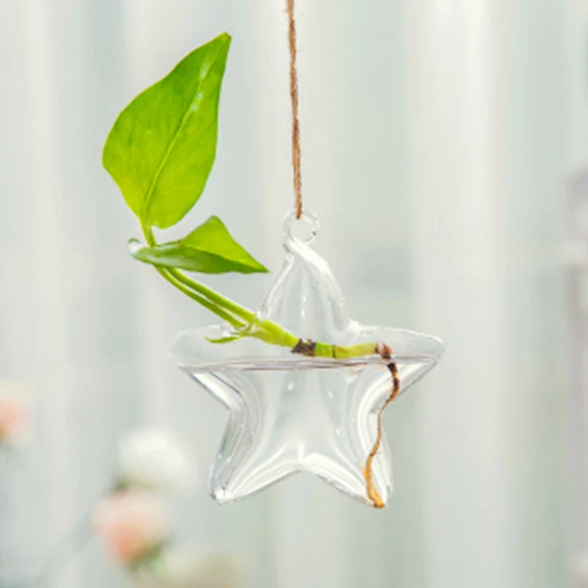 Star Shape Hanging Glass Planters, Hydroponic Glass Vase Terrariums, Glass Flower Pot, Clear
Star Shape Hanging Glass Planters, Hydroponic Glass Vase Terrariums, Glass Flower Pot, Clear