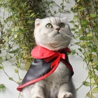 Dog Designer Clothes Halloween Dress Up Cute Dog Cloak Magic Pet Apparel Designer Wizard Cat Clothes Set