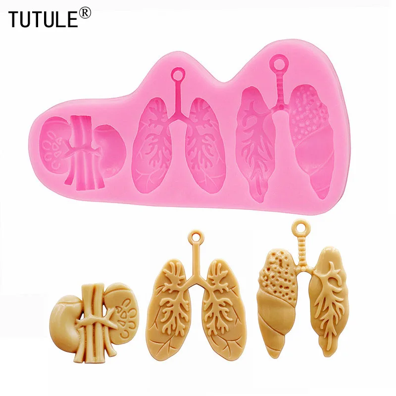 Lung molds,Kidney Silicone Mold Polymer Clay Craft Soap Embed Cake Tool, lung and kidney silicone mold
Lung molds,Kidney Silicone Mold Polymer Clay Craft Soap Embed Cake Tool, lung and kidney silicone mold