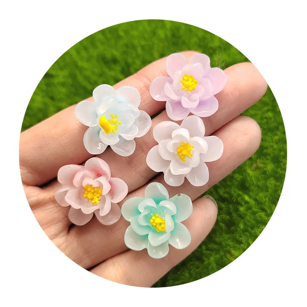 Mini Colorful Flower Resin Charms Diy Cabochons for Brooch Jewelry Making Accessories
Mini Colorful Flower Resin Charms Diy Cabochons for Brooch Jewelry Making Accessories
