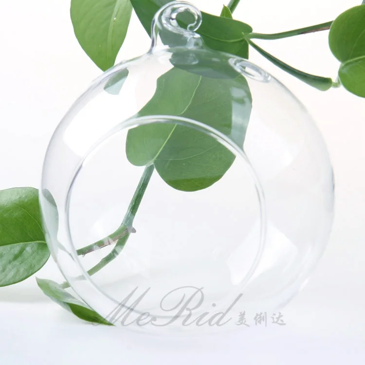 Hanging Glass Globe Terrarium Perfect for Air Plants