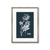 Floral Botanical Prints Blue and White flower Prints Watercolor Flowers Wall Art Pictures for Living room decor