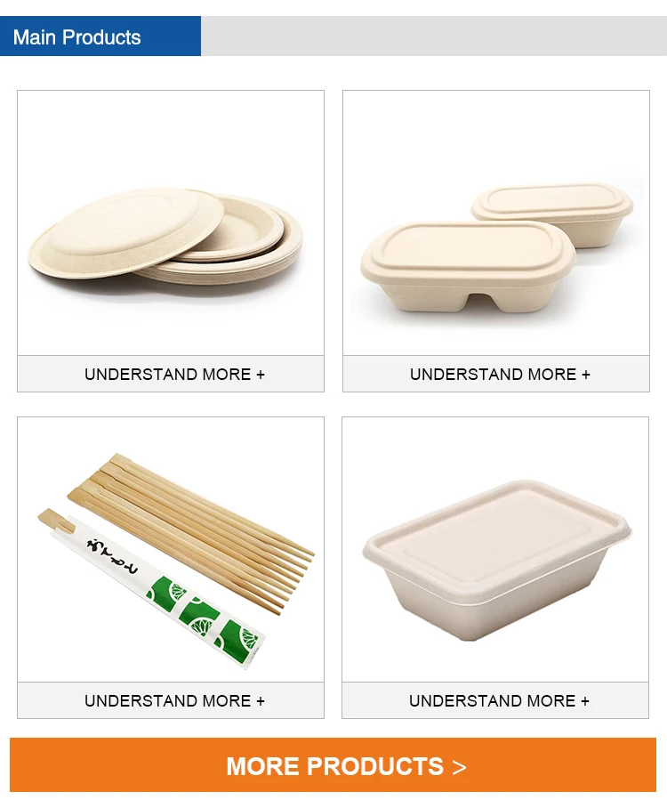 Biodegradable lunch box sugarcane to-go food container to-go sugarcane food container
