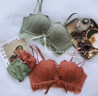 women sexy push up bra underwear set fashion women embroidery lace bra panty set high quality ladies lace bra
women sexy push up bra underwear set fashion women embroidery lace bra panty set high quality ladies lace bra