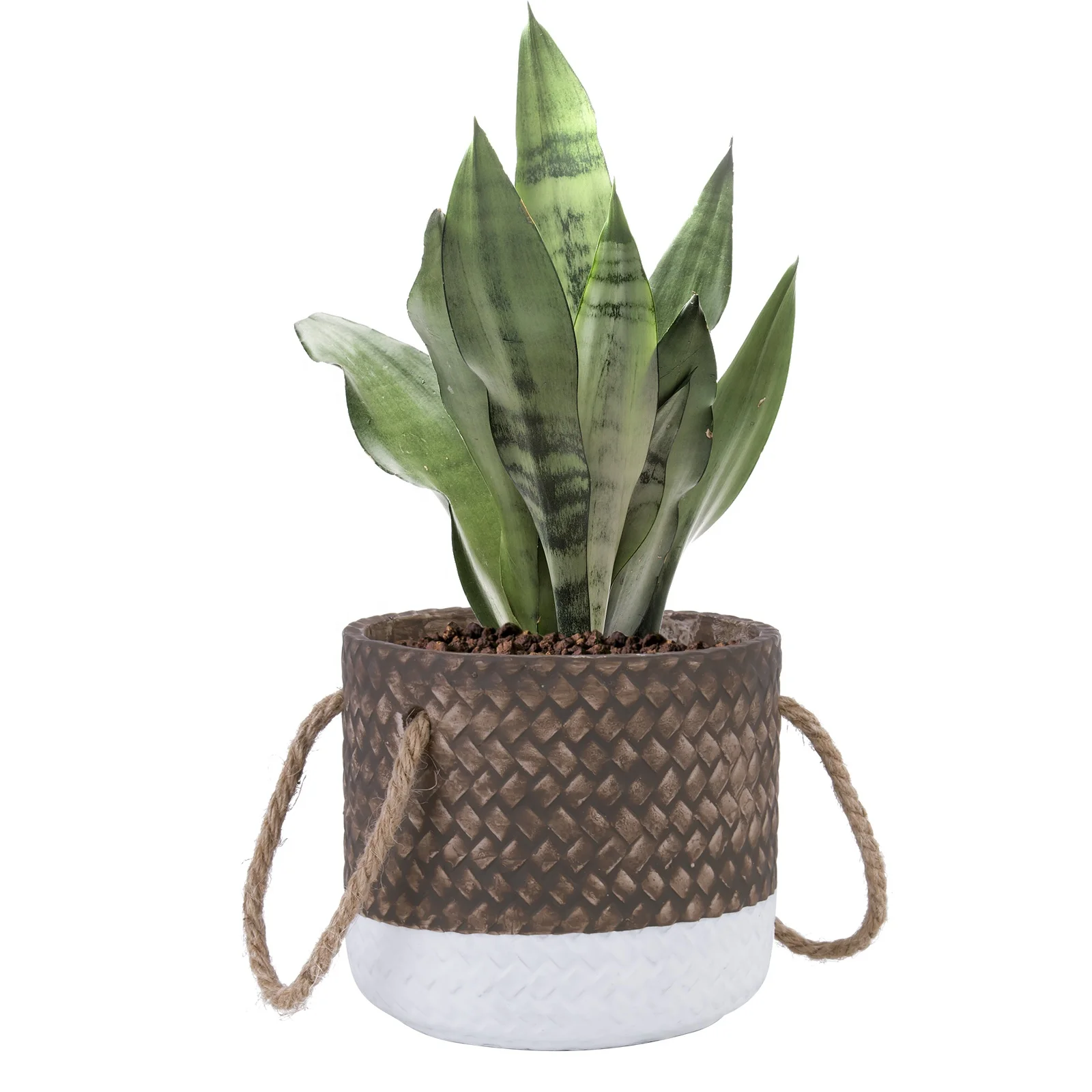 Home decor Cement Planters living room Flower Plant Container Bamboo woven cement flower pot, Brown+ white
Home decor Cement Planters living room Flower Plant Container Bamboo woven cement flower pot, Brown+ white