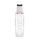 Professional Home Use Skin Peeling Machine Portable Electric Facial Pore Cleaner Ultrasonic Skin Scrubber
