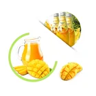 Juice Juice Mango Concentrate Flavor Juice Lactobacillus Fermented Mango Puree