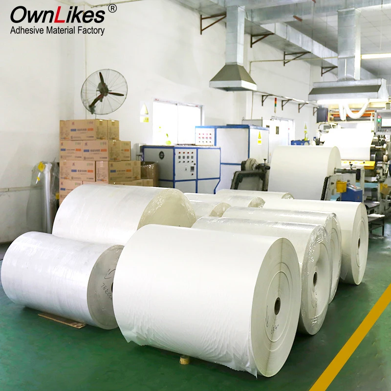 

Flexography Custom Size Self Adhesive Top Coated Paper Sticker Semi Glossy Material Direct Thermal Label Jumbo Roll