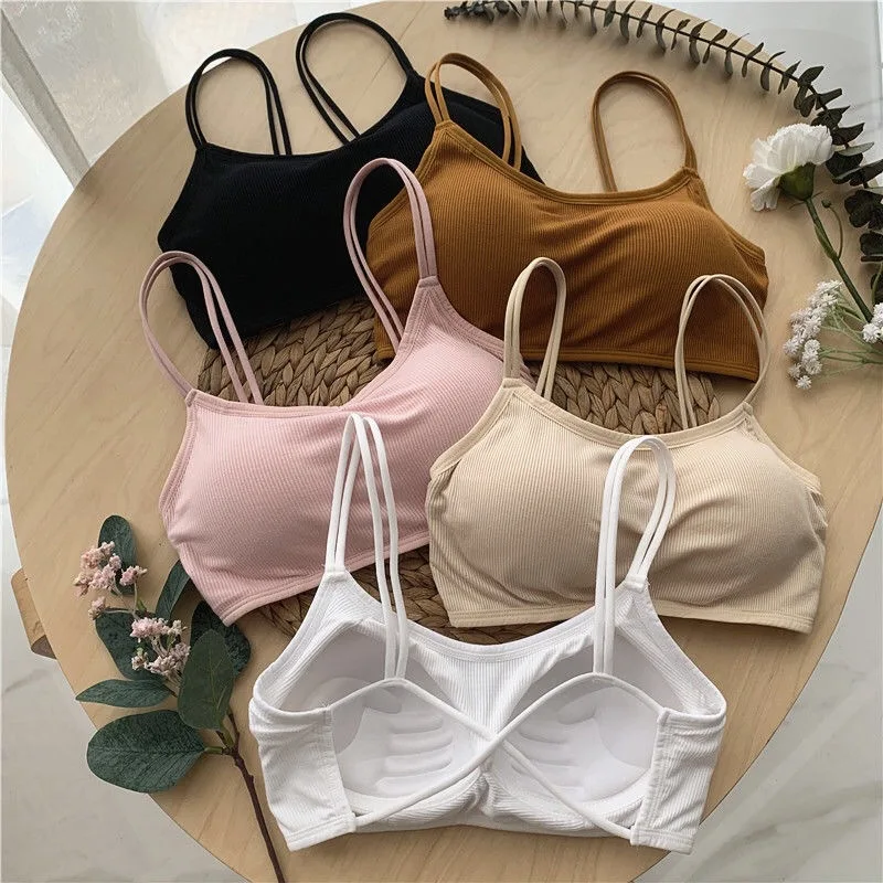 2022 New Sexy Wire Free Candy Color Sport Bra Women Custom Logo Underwear Ladies Backless Yoga Bra
2022 New Sexy Wire Free Candy Color Sport Bra Women Custom Logo Underwear Ladies Backless Yoga Bra