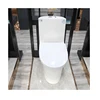 /product-detail/bathroom-application-ceramic-toilet-dual-flush-closestool-toilet-with-tank-62392092040.html