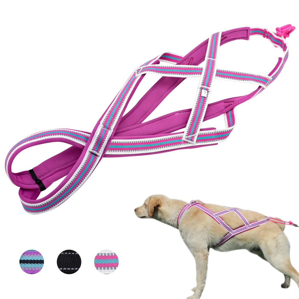 Dog Weight Pulling Sledding Harness Pet Mushing X Back Harness For Husky Large Dogs Exercise Bikejoring Skijoring Scootering
Dog Weight Pulling Sledding Harness Pet Mushing X Back Harness For Husky Large Dogs Exercise Bikejoring Skijoring Scootering