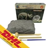 Triceratops Archaeological Excavation Fossil Skeleton Dinosaur Excavation Kit History Educational Toys Dig Up Dinosaur For Kids