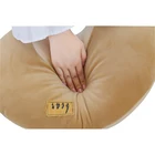 Import China Custom Soft Bear Animal Cushion Plush Toys