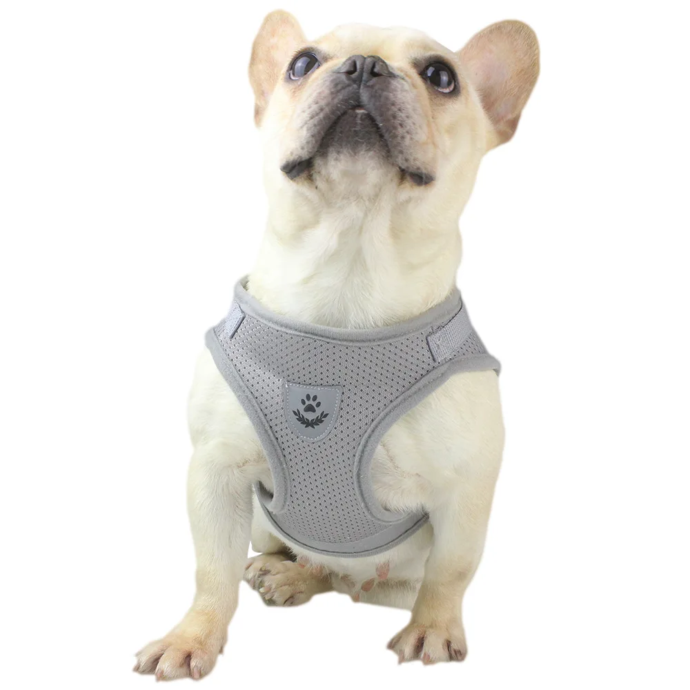 Wholesale Breathable Adjustable Vest Chest Reflective Product Designers Dog Harness With Leash, Blue/red/black/gray
Wholesale Breathable Adjustable Vest Chest Reflective Product Designers Dog Harness With Leash, Blue/red/black/gray