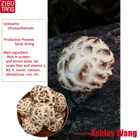 China Flower Mushroom with good price