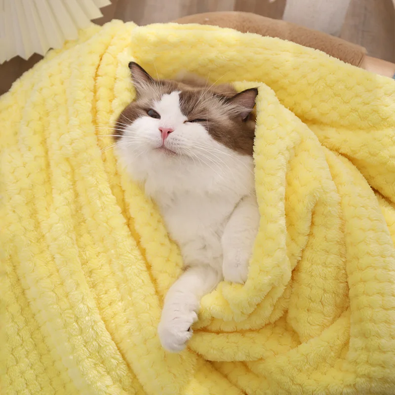 Hot sale Pet blanket Cat mat warm winter dog kennel blanket Fall and winter for wholesale, As picture
Hot sale Pet blanket Cat mat warm winter dog kennel blanket Fall and winter for wholesale, As picture