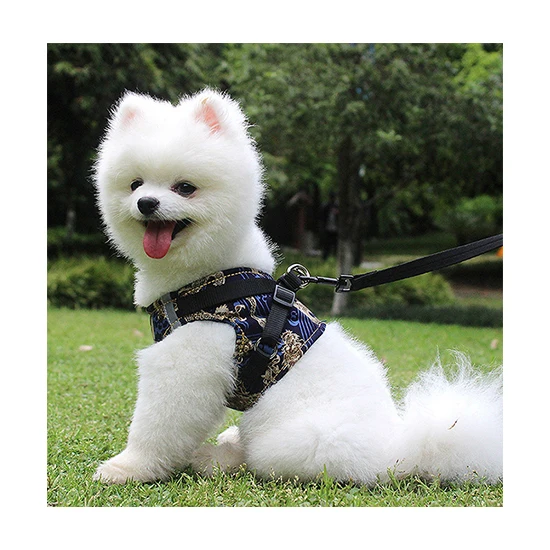 2021 New design Dog Ocean Reflective Wire reflective harness for dogs, Blue green yellow 
2021 New design Dog Ocean Reflective Wire reflective harness for dogs, Blue green yellow