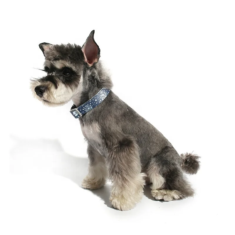 Dog Collar and Leash Set Adjustable High Quality Pet Accessories New Hot 2020 Cute Luxury Dog Collar in Bulk Pet Products Amazon, Customized
Dog Collar and Leash Set Adjustable High Quality Pet Accessories New Hot 2020 Cute Luxury Dog Collar in Bulk Pet Products Amazon, Customized