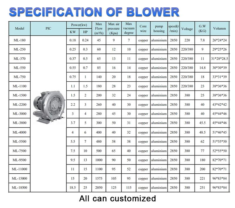 Ring Blower, 1-3hp, 110V, 60hz - detail 6