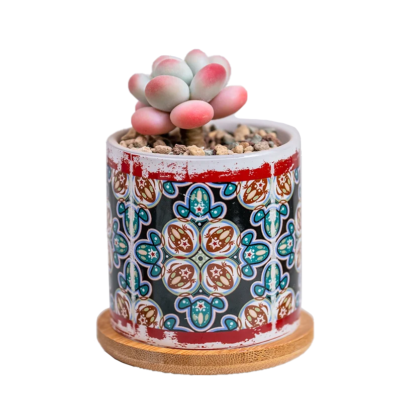 Creative Simple Modern Indoor Desktop Round Flower Pot Mini Succulent Flower Pots 
Creative Simple Modern Indoor Desktop Round Flower Pot Mini Succulent Flower Pots