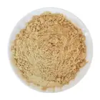 Factory Supply Good Water Solubility Spray Dried Ginger Extract Powder 4:1 5:1 10:1 20:1