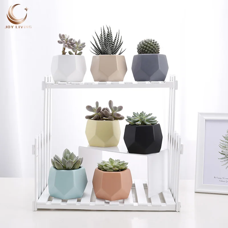 China Factory Cute Small Cheap Plastic Succulent Pots For Succulents, Pink, blue, yellow, beige
China Factory Cute Small Cheap Plastic Succulent Pots For Succulents, Pink, blue, yellow, beige