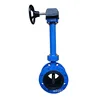 /product-detail/worm-gear-operated-lever-wafer-rubber-seated-extension-spindle-butterfly-valve-62362238629.html