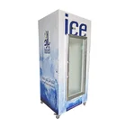 ice cube bag merchandiser gas station ice storage for outdoors